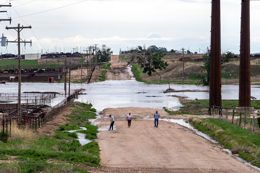 Flash Flooding Hits Texas Panhandle, Several Feedyards Now Face Massive Cleanup and Cattle